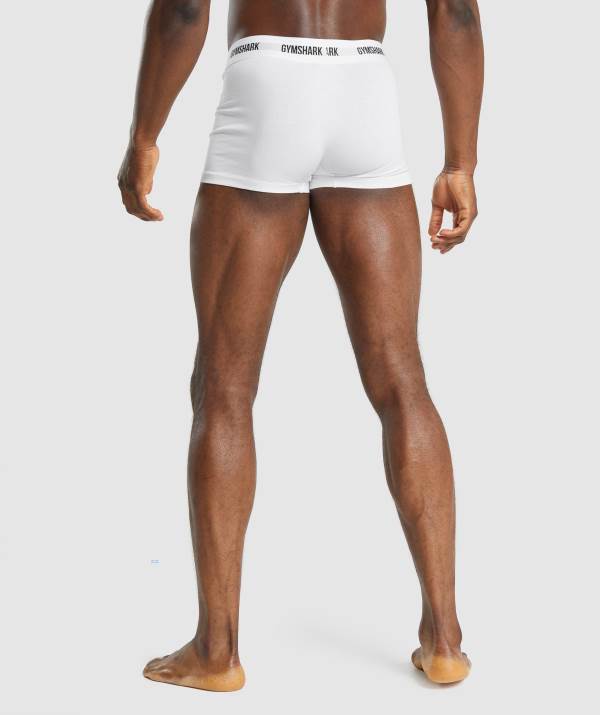 Panske Spodne Pradlo Gymshark Trunk 2pk Biele | LN7039156